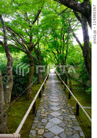 鷹峯光悦寺の参道 鷹峯光悦寺の参道 114860367