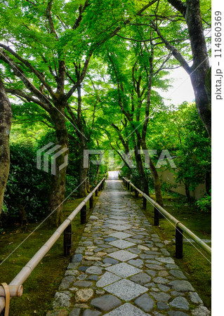 鷹峯光悦寺の参道 114860369