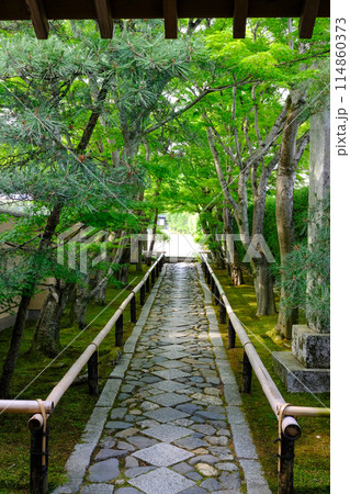 鷹峯光悦寺の参道 鷹峯光悦寺の参道 114860373