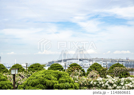 5月の横浜風景 114860681