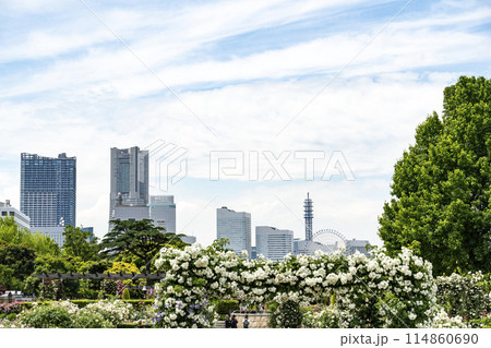 5月の横浜風景 114860690