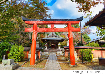 京都 吉田神社の末社 竹中稲荷社(竹中稲荷神社) (京都市左京区) 京都 吉田神社の末社 竹中稲荷社(竹中稲荷神社) (京都市左京区) 114860949