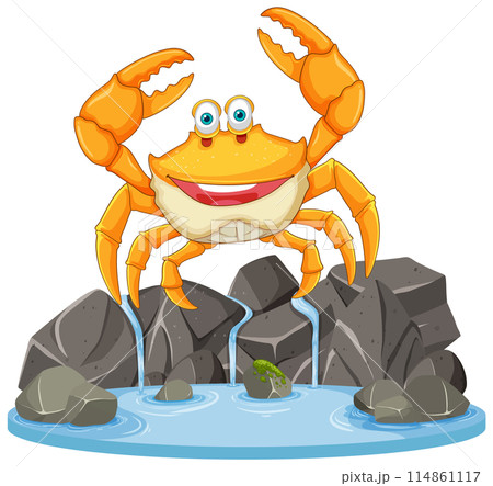 Happy Crab on Rocky Shore 114861117