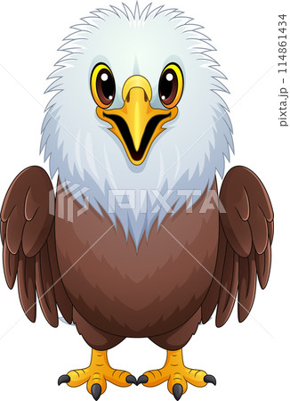 Cartoon American bald eagle standing Cartoon American bald eagle standing 114861434