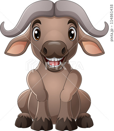 Cartoon African buffalo isolated on white background Cartoon African buffalo isolated on white background 114861438