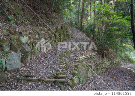 美濃金山城跡登城口の景色 114861555