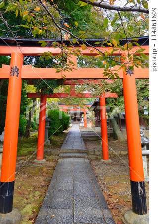 京都　吉田神社の末社　竹中稲荷社（竹中稲荷神社）　　（京都市左京区） 114861609