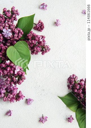 Lilac flowers  background. 114861666