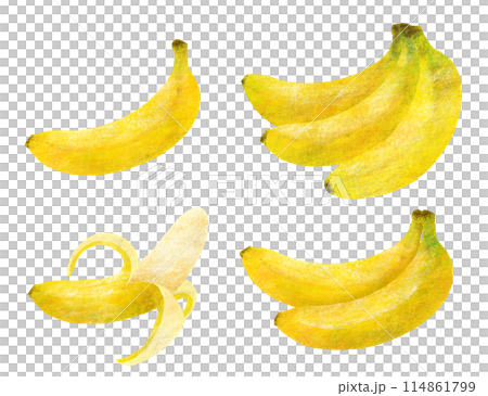 黄色いバナナの手描きイラスト 黄色いバナナの手描きイラスト 114861799