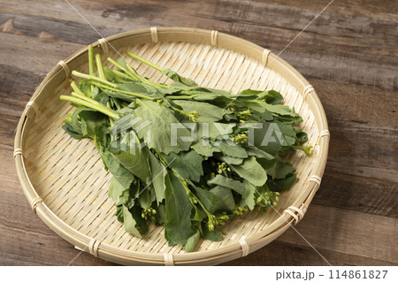 つみ菜 芯摘菜 摘み菜 つみ菜 芯摘菜 摘み菜 114861827