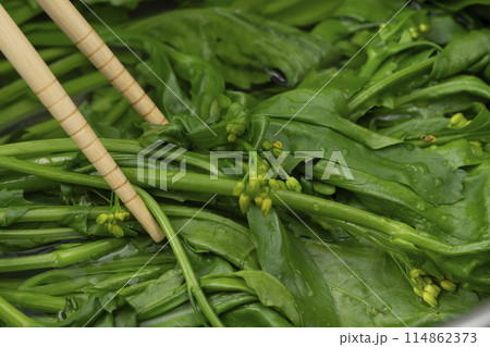 つみ菜　芯摘菜　摘み菜 茹でる 114862373