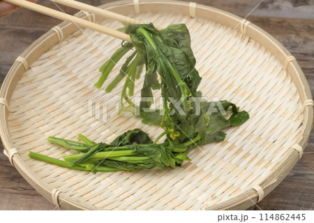 つみ菜 芯摘菜 摘み菜 茹で上げ笊にとる つみ菜 芯摘菜 摘み菜 茹で上げ笊にとる 114862445