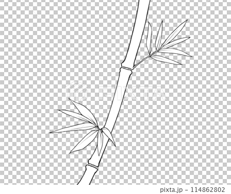 簡單的竹子黑白插畫 簡單的竹子黑白插畫 114862802