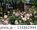 薔薇のある風景 114862944