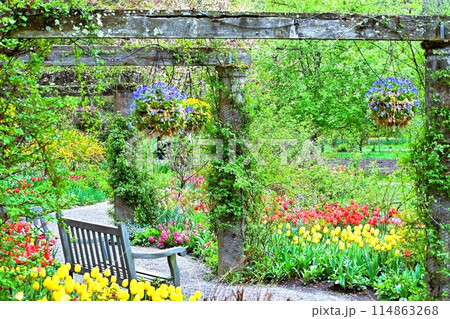 蓼科高原バラクライングリシュガーデン 114863268