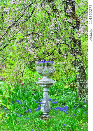 蓼科高原バラクライングリシュガーデン 蓼科高原バラクライングリシュガーデン 114863272