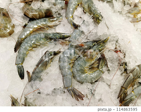 frozen fresh shrimp in supermarket 114863595