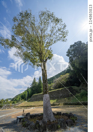 美濃金山城址米蔵跡付近の景色 114863813