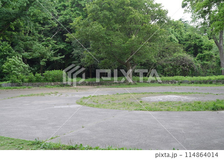 日本、神奈川県横浜市にあるこども自然公園 114864014