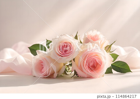 コピ-スペース コピースペース メッセージスペース 114864217