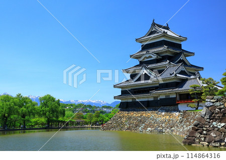 残雪の北アルプスと国宝松本城 114864316