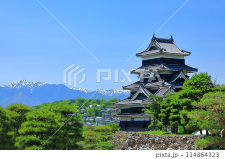 残雪の北アルプスと国宝松本城 114864323
