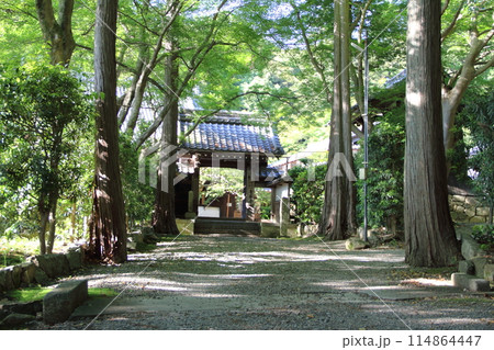 滋賀　吸湖山青岸寺散策・16（滋賀県米原市） 114864447