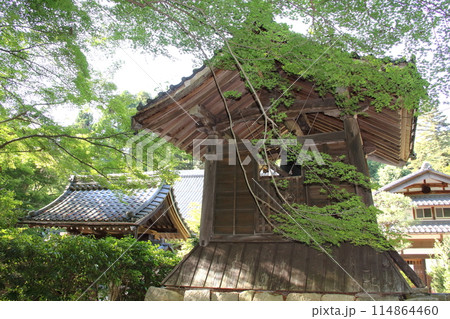 滋賀 吸湖山青岸寺散策・3(滋賀県米原市) 滋賀 吸湖山青岸寺散策・3(滋賀県米原市) 114864460