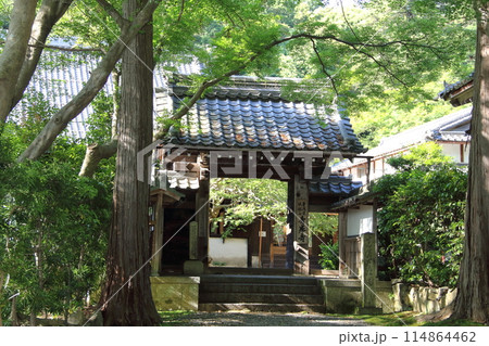 滋賀 吸湖山青岸寺散策・1(滋賀県米原市) 滋賀 吸湖山青岸寺散策・1(滋賀県米原市) 114864462