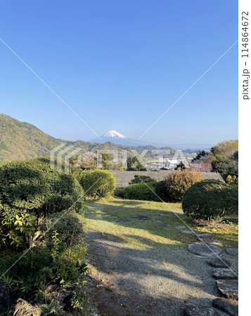 伊豆の街から望む富士山 114864672