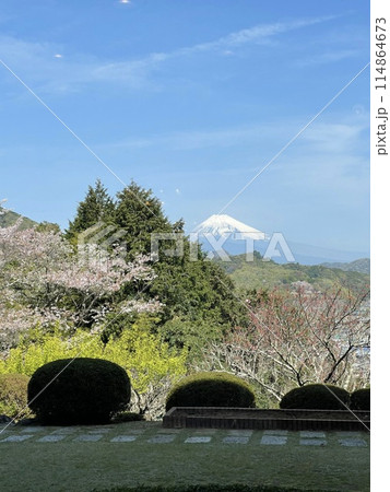伊豆の街から望む富士山 114864673