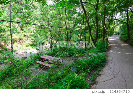 韓国　南漢山城の登山道とベンチ【南漢山城入口ルート】 114864710