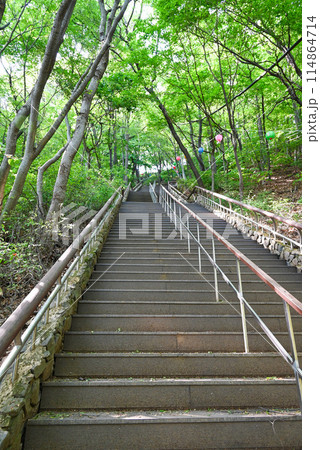 韓国 南漢山城登山道の長い階段【南漢山城入口ルート】 韓国 南漢山城登山道の長い階段【南漢山城入口ルート】 114864714