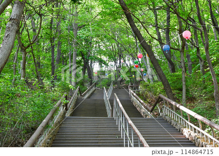韓国 南漢山城登山道の長い階段【南漢山城入口ルート】 韓国 南漢山城登山道の長い階段【南漢山城入口ルート】 114864715