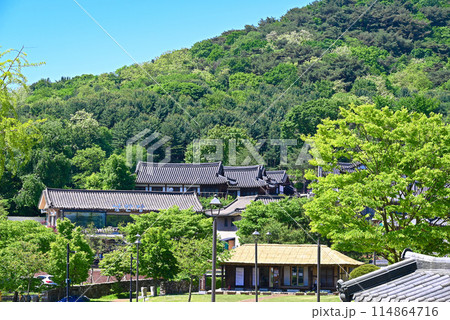新緑の南漢山城【韓国広州市】 114864716