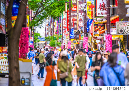 日本の横浜都市景観 5月。新緑の季節に…インバウンド復活…賑わう横浜中華街などを望む＝23日 114864842