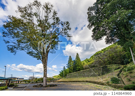 美濃金山城址米蔵跡の景色 114864960