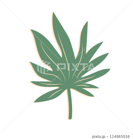 Tropical leaf. Exotic summer botanical icon. Vector illustration isolated on white background. Tropical leaf. Exotic summer botanical icon. Vector illustration isolated on white background. 114865016