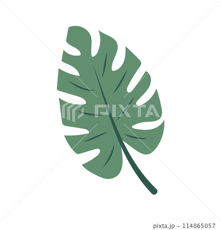 Tropical monstera leaf. Exotic summer botanical icon. Vector illustration isolated on white background. Tropical monstera leaf. Exotic summer botanical icon. Vector illustration isolated on white background. 114865057