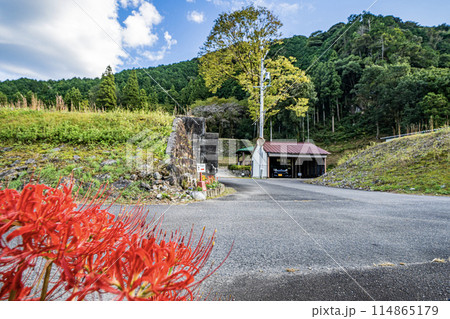 見の金山城址のある山の景色 114865179
