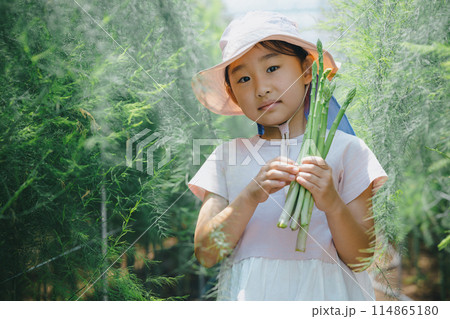 野菜の収穫を楽しむ子供 野菜の収穫を楽しむ子供 114865180