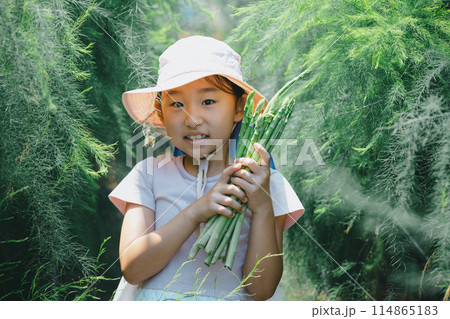 野菜の収穫を楽しむ子供 114865183