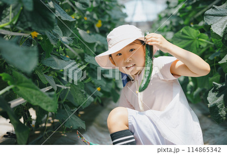 野菜の収穫を楽しむ子供 野菜の収穫を楽しむ子供 114865342