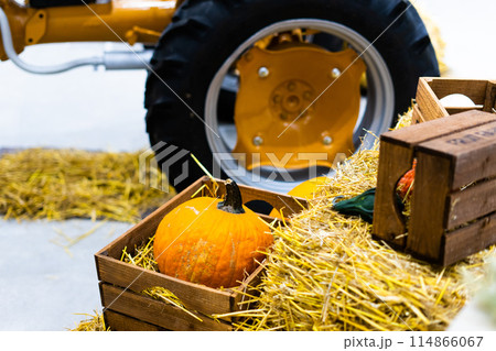 Ripe orange autumn pumpkins in wooden baskets with straw, on hay bales farmers market for Halloween. 114866067