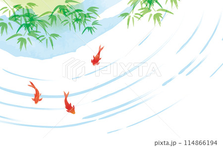 爽やかな水彩風金魚 夏 水 爽やかな水彩風金魚 夏 水 114866194