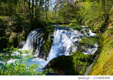 鱒留の滝　小松市 114866400