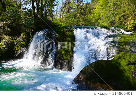 鱒留の滝　小松市 114866401