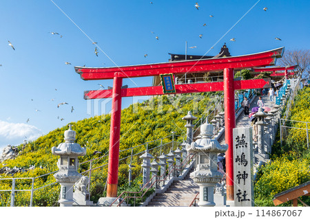 「青森県」春の蕪島神社 「青森県」春の蕪島神社 114867067