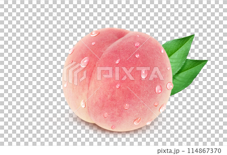 桃 イラスト リアル 白バック 114867370