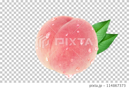 桃 イラスト リアル 白バック 114867373